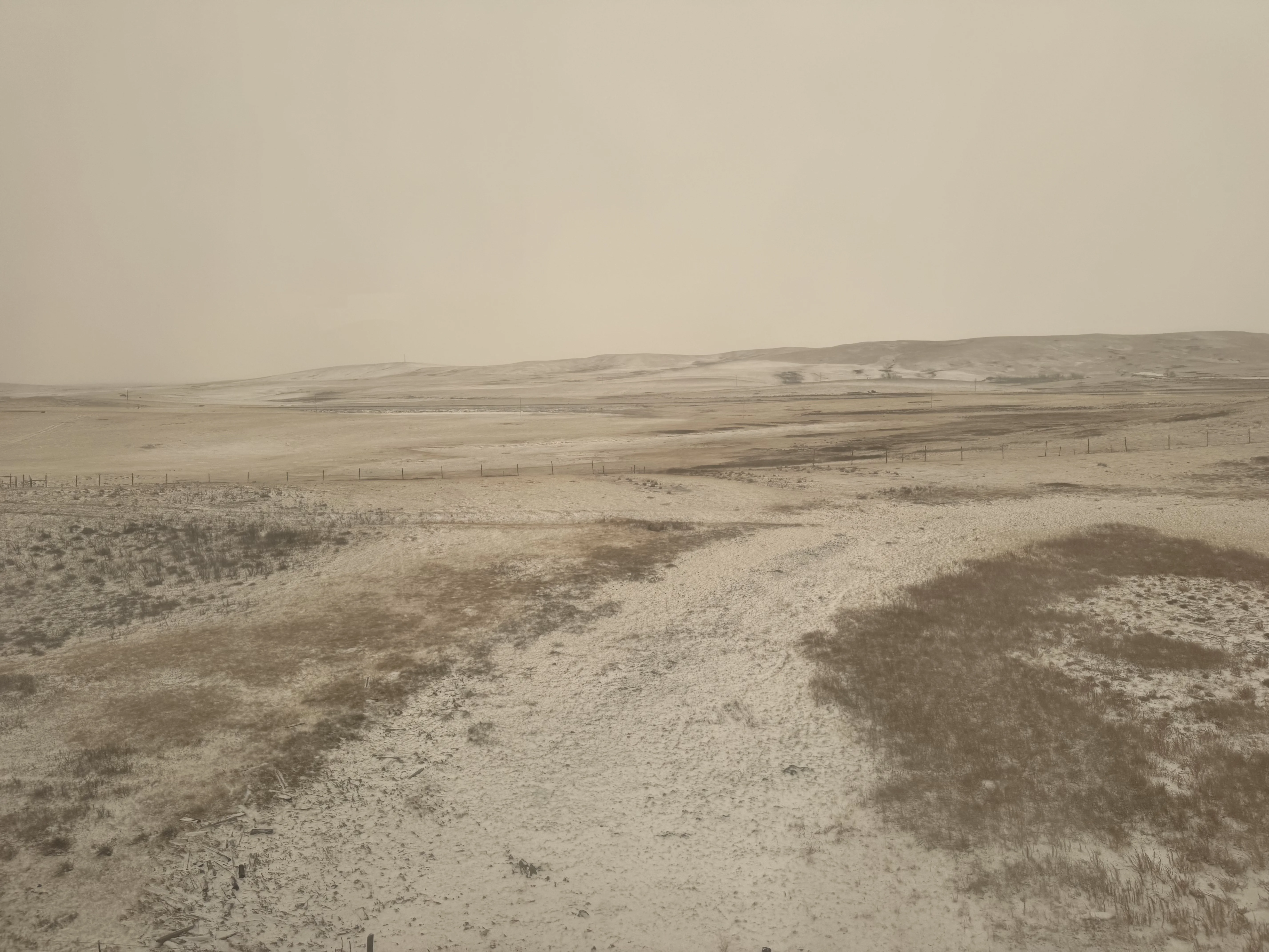 And followed us home